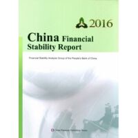 China financial stability report