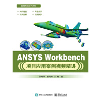 ANSYS WorkbenchĿðҕlv