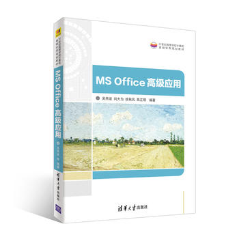 MS Office߼